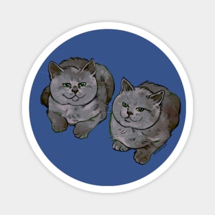 Two of Them Cats Magnet